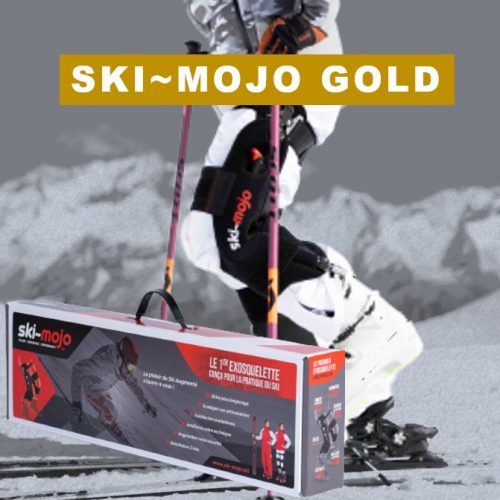 Ski Mojo SKI~Mojo SILVER SILVER